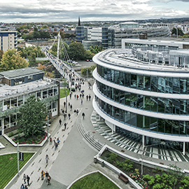 a close up of a bridge