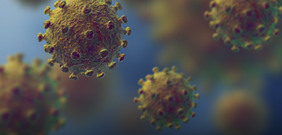 a close up of a fruit