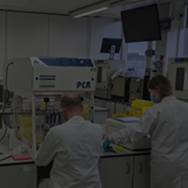 Mapping-Covid-19---one-year-on