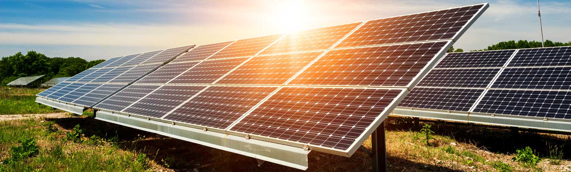 Carbon Champion: Carbon Footprinting and Management