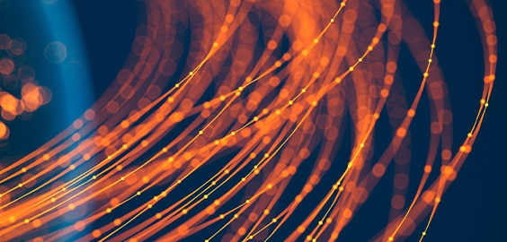 NESCA - Orange strand pod image