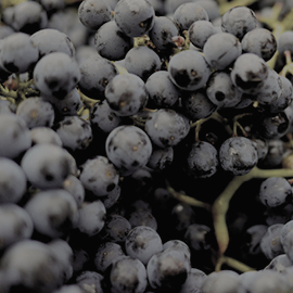 NUTRAN - Interrelationships