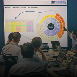 BIM Academy