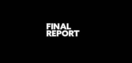 Final Report