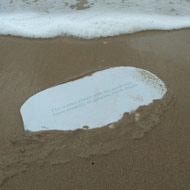 Creative writing courses northumberland picture