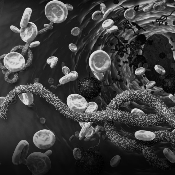 Northumbria University Ebola Virus Screening Breakthrough