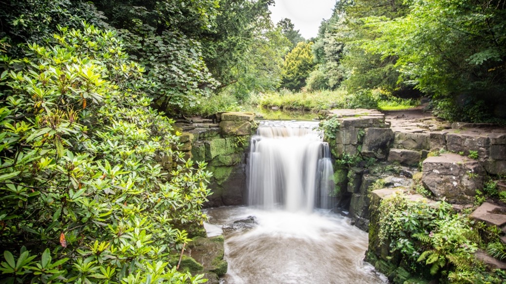 waterfall in a forest