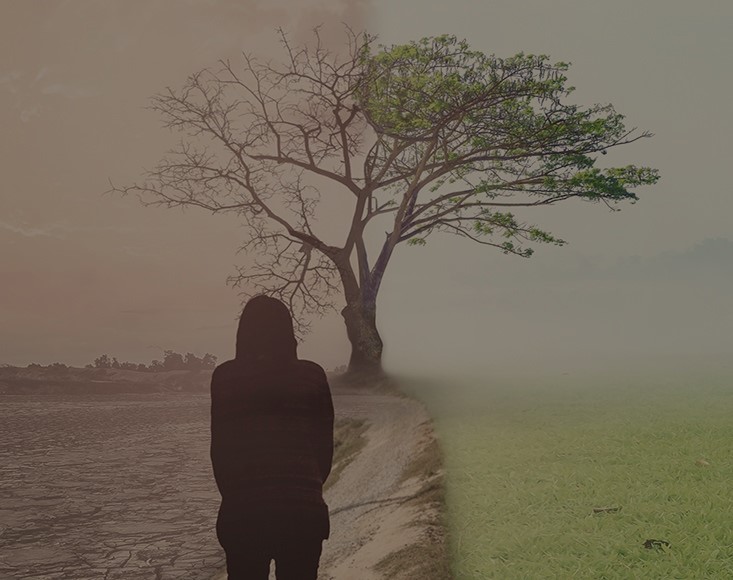 Disaster and Development