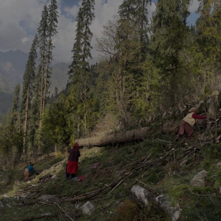 Women's Collective Action and Gender Just Transitions