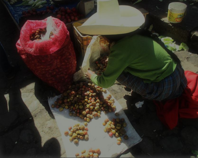 Peru Participatory Photography