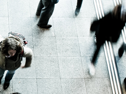 Sidebar image for Social Sciences Related Courses