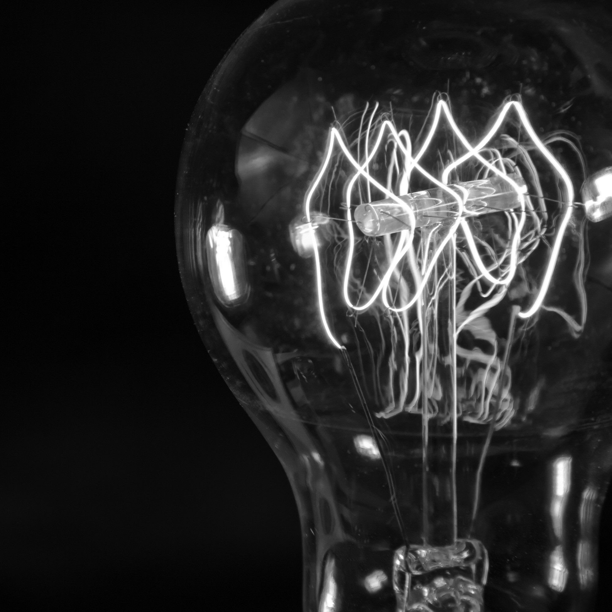 black and white light bulb