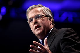 Jeb Bush - Web