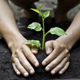 Sustainability2 Case Study