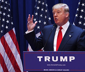 Trump - Web