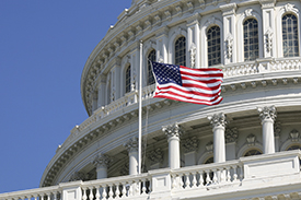 White House America - Web