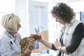 Dementia Awareness - Web