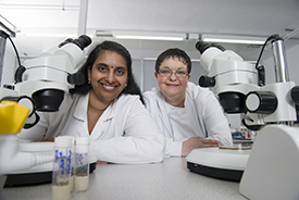 Dr Tora Smulders -Srinivasan And Dr Amanda Jones  - Web