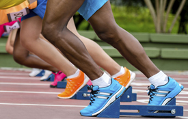 Jamaican Runners - Web