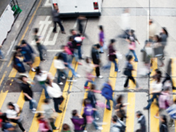 Sidebar image for Department of Social Sciences and Languages