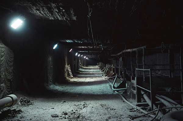 Fiona C 6 26333261 2