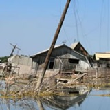 Ref Resilliance Thumb