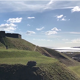 a herd of sheep walking up a hill