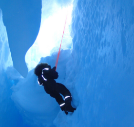 Antarctica Navigation Image