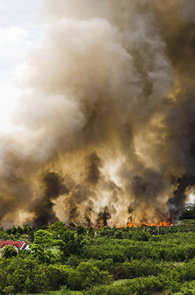 Bangkok Bombings - Web