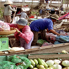 a person in a produce market
