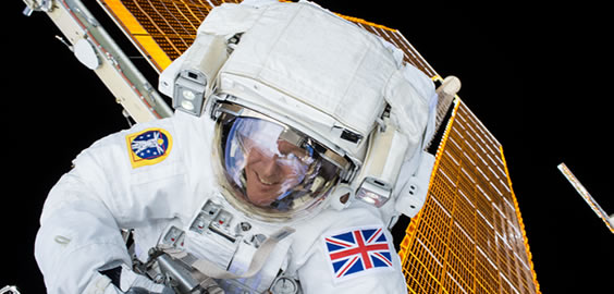 a person wearing a costume