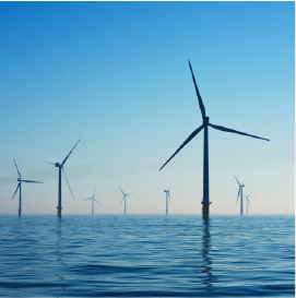 Offshore wind farm