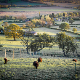 Image showing English countryside