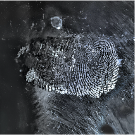 Fingerprint