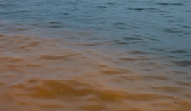 water next to the ocean