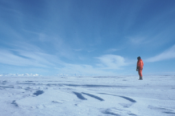 Sidebar image for School of Geography and Natural Sciences