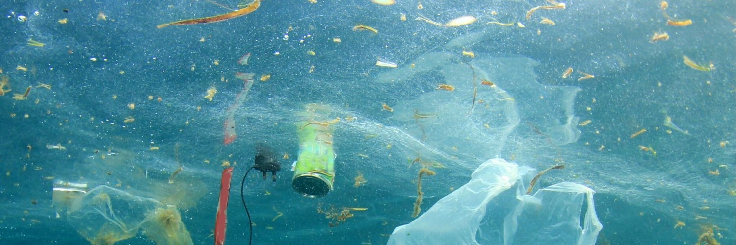 a bird flying over a body of water