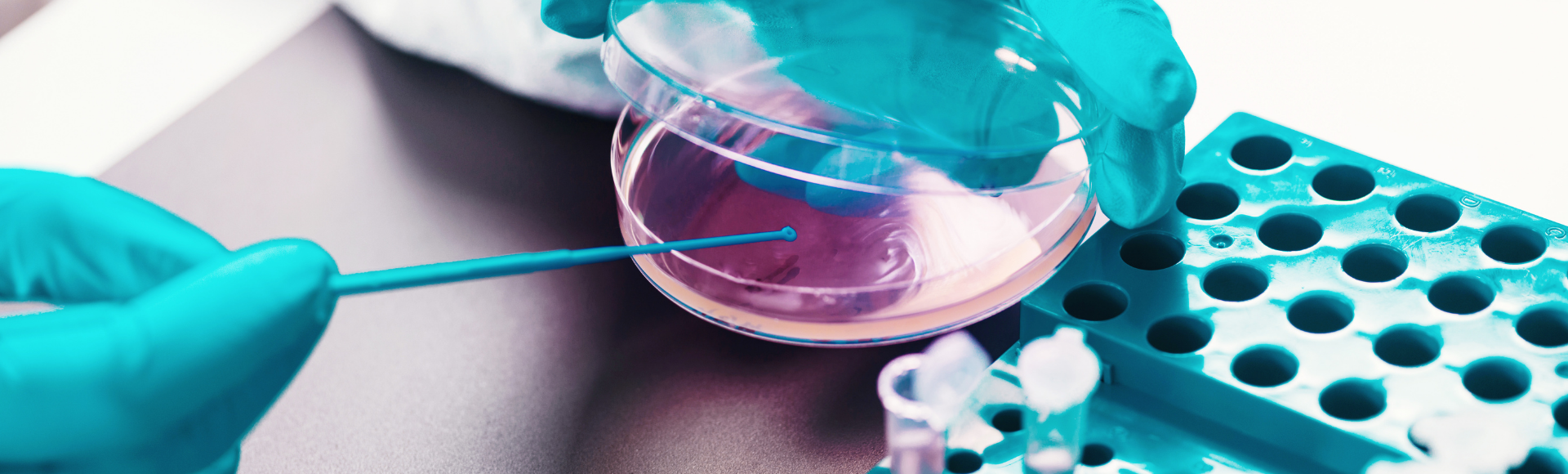 Biotechnology research. Image ID: Shutterstock 1379063297