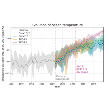 Caption: Four different scenarios of ocean warming in the Amundsen Sea, ranging from ambitious mitigation to extreme fossil fuel use. Image from British Antarctic Survey