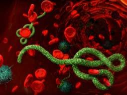 Sidebar image for Bioeconomy