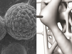 Sidebar image for BioFutures