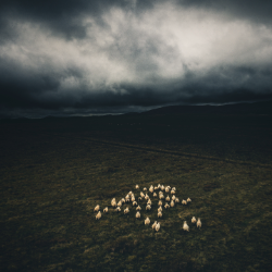 the images show the ICOS Auchencorth Moss station near Edinburgh.