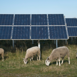 A new toolkit has been developed to support rural communities with the development of renewable energy projects. Photo: Adobe Stock
