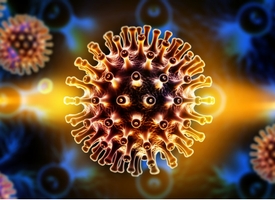 a close up of a coral