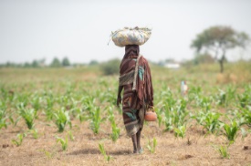 a person standing on a dry grass field