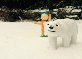 a polar bear in the snow