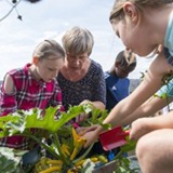 a group of people looking at a baby