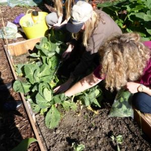 a group of people sitting on the ground