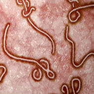 a close up of a logo