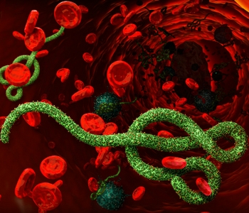 a close up of a colorful background